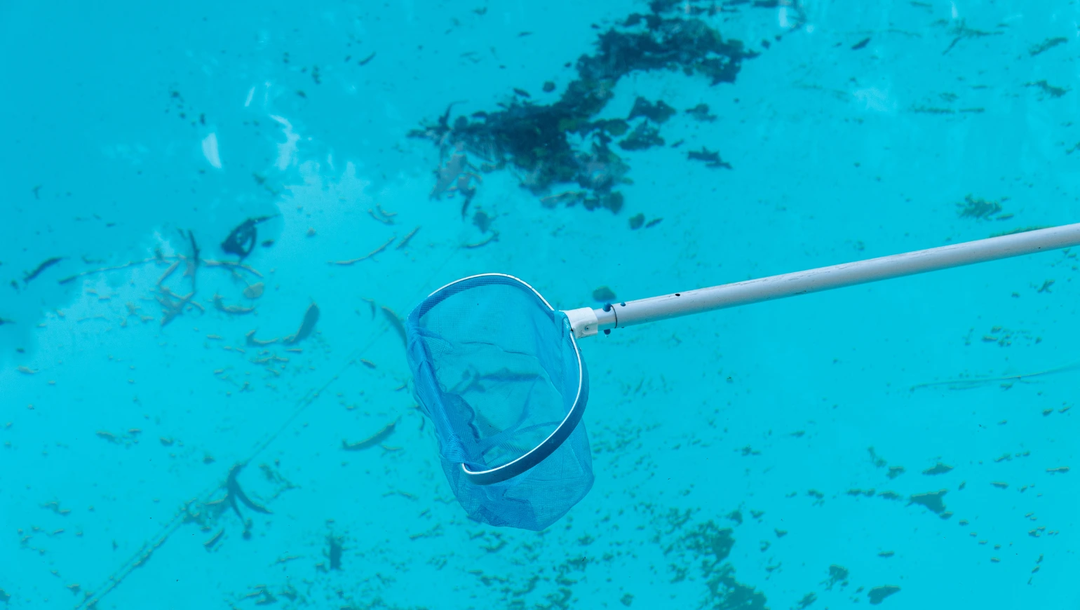Uso de red telescópica para recogida de residuos de la piscina